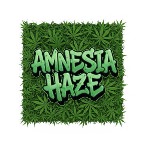 Amnesia